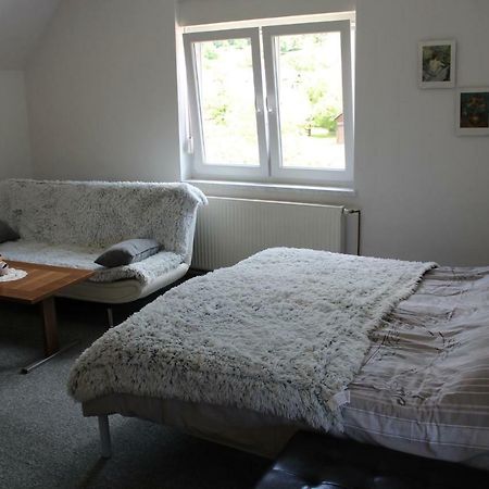 R&G Apartment Zirovnica 外观 照片