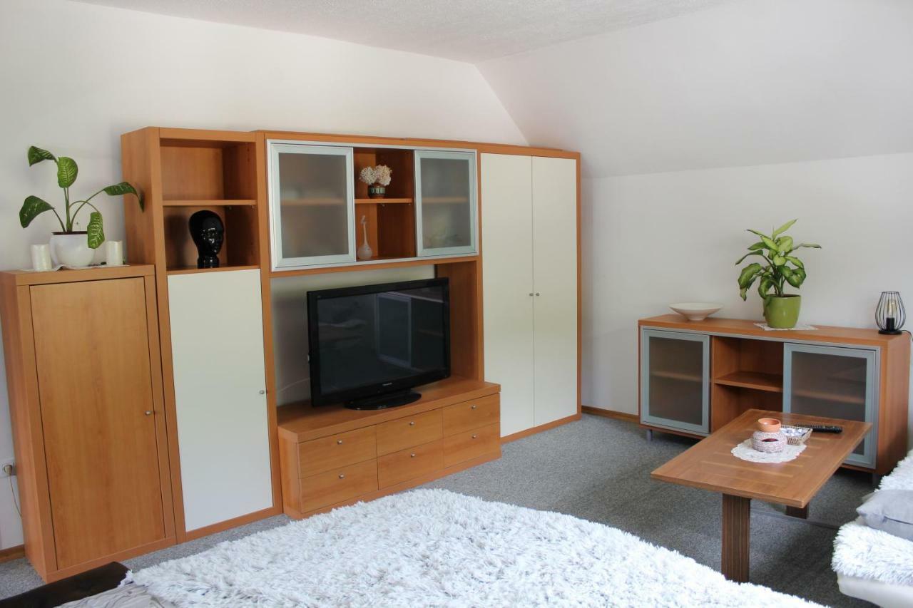 R&G Apartment Zirovnica 外观 照片