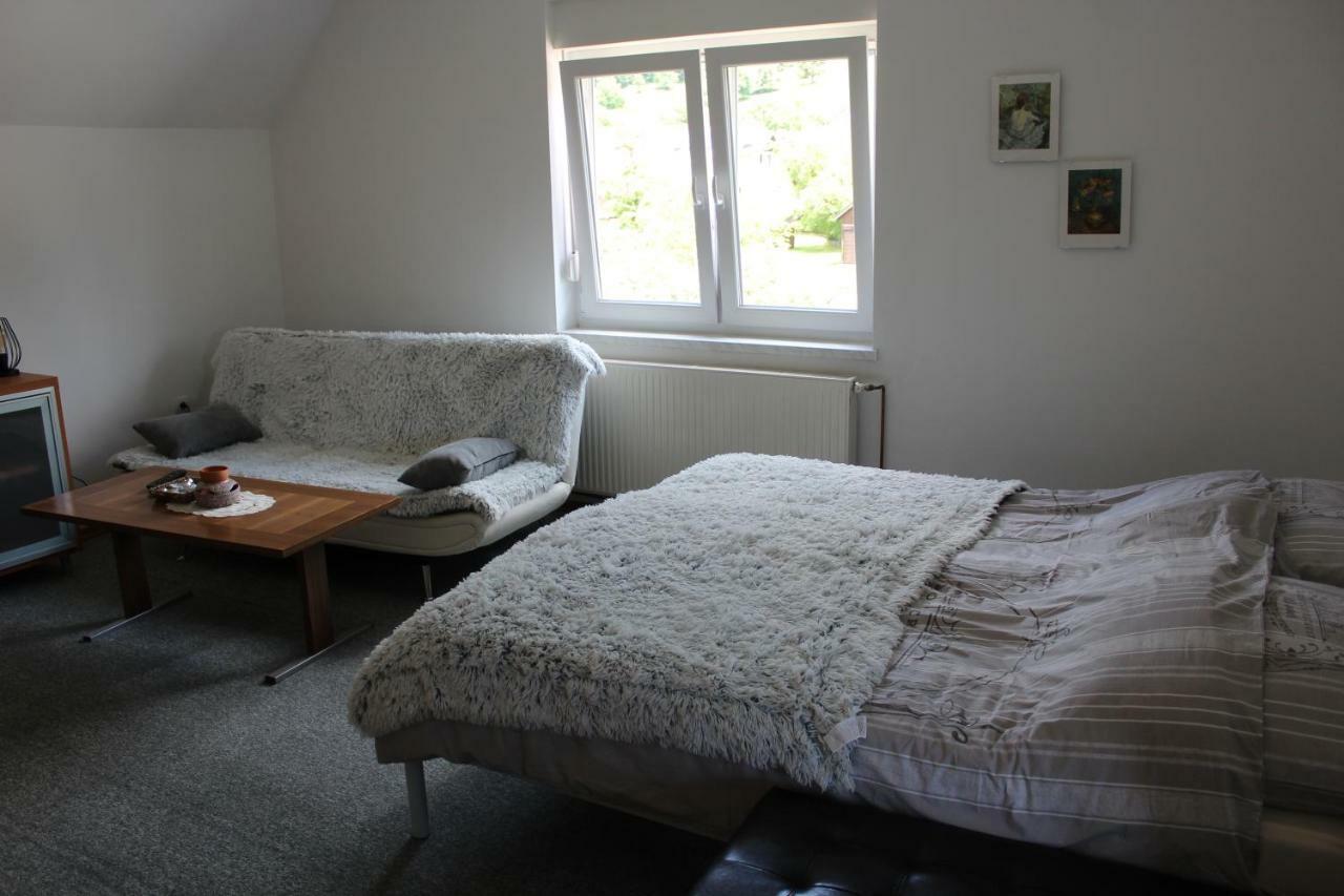 R&G Apartment Zirovnica 外观 照片