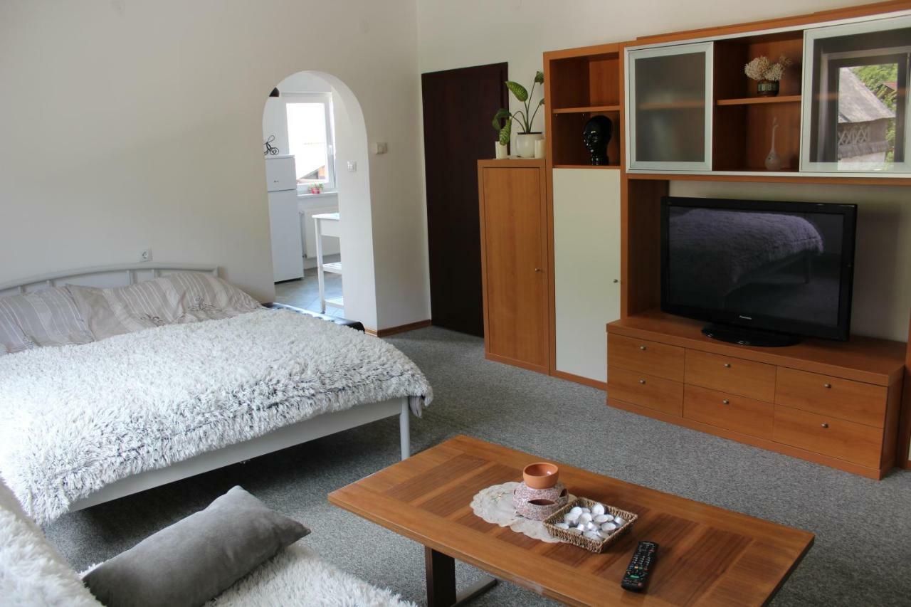 R&G Apartment Zirovnica 外观 照片